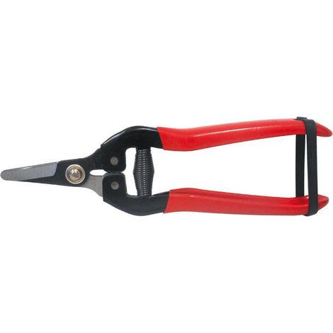 10PZ FORBICI COGLIUVA LAMA CURVA cm. 16