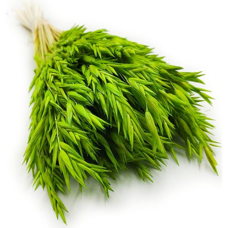 Avena deshidratada - Verde celadón