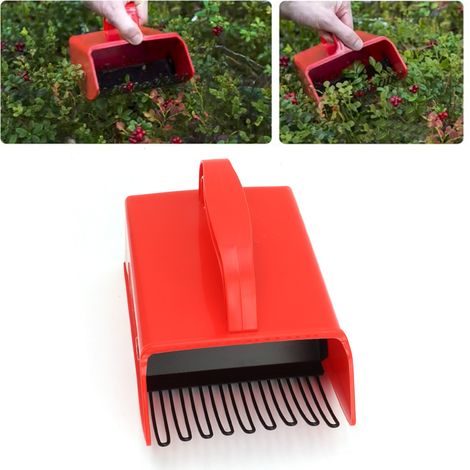 Rastrillo para arándanos con peines metálicos y mango ergonómico de PP y hierro, 472 g, 1 unidad. (1/5)