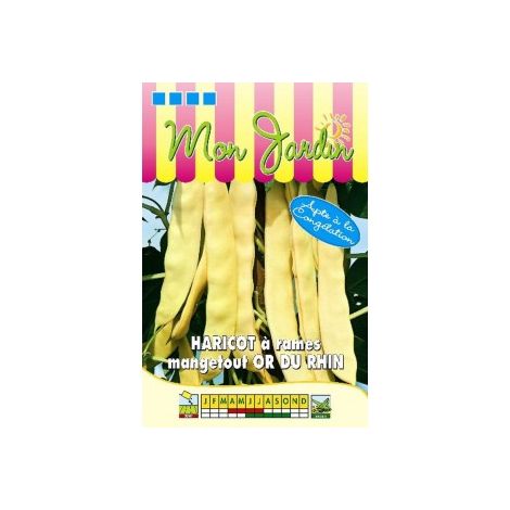 Haricot à rames beurre Or du Rhin - 100g