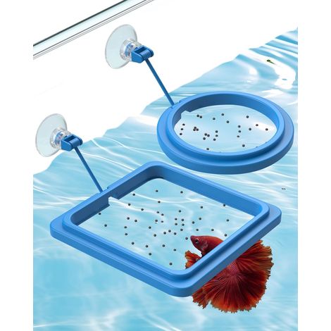 2 anneaualimentation flottants rond/carré ventouses pour Betta poisson rouge guppy
