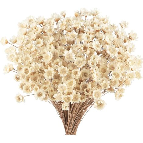 300 Pièces Mini Fleurs Séchées Brésiliennes Blanches, Marguerites et Gypsophile pour Mariage et DIY (1/5)