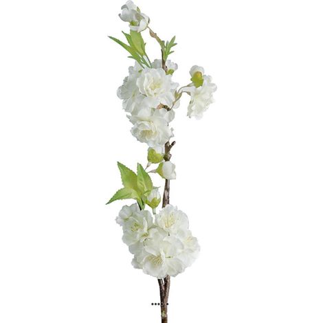 Branche Cerisier Prunus Japon factice H50cm 28 fleurs 2 ramures Crème - couleur: Crème