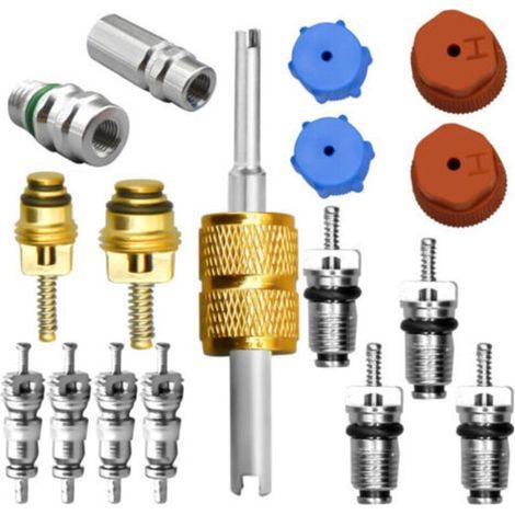 BUNTHAUS Kit de noyau de valve de climatisation, y compris système de réfrigération A/C R134a noyau de valve AC Service Port bouchon d'étanchéité outil de retrait de noyau de valve A/C vannes de servi (1/3)