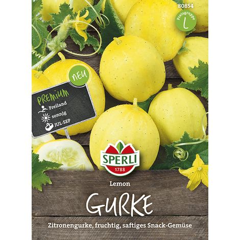 Sperli – Concombre citron Lemon (Cucumis sativus) – Graines de légumes, fruits ronds de 6 à 8 cm (1/2)