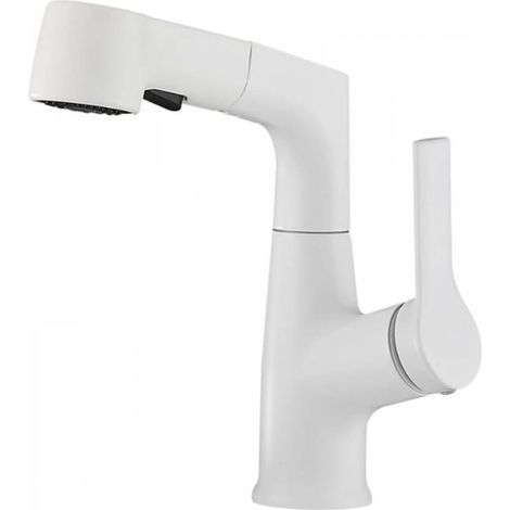 Robinet de lavabo pivotant en laiton pour eau chaude et froide avec douchette extractible (1/4)