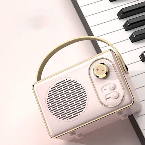 Haut-Parleur Vintage Bluetooth Hauteur Rose Enceinte Portable Léger ABS Plastique Plaqué 257g Câble Son Livret Manuel (1/5)