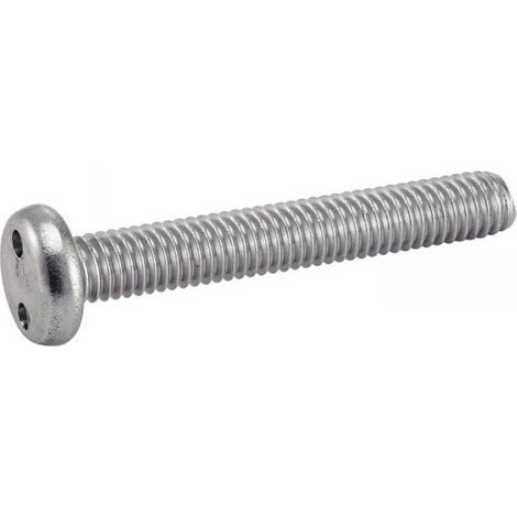 100 Vis à Métaux Tête Cylindrique Inviolable Snake Eyes 6 x 16 mm - Inox A2 - D-Work (1/5)