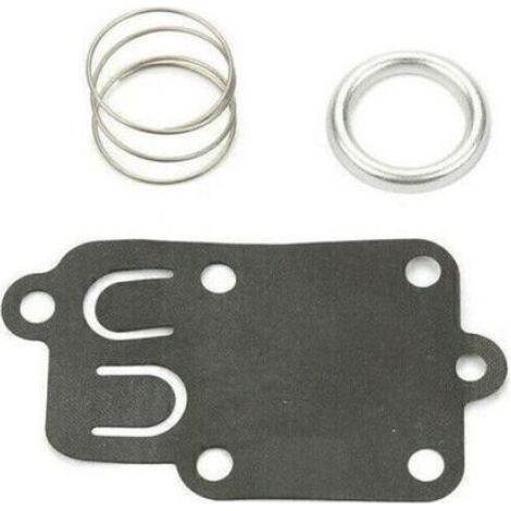 Membrane carburateur - Origine Briggs & Stratton Haute qualité - Tondeuse (1/4)