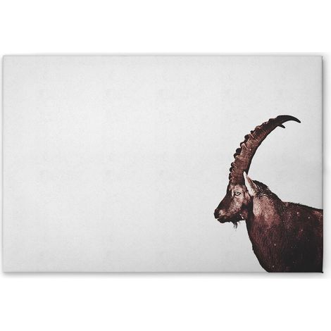 Leinwandbild Tiere Steinbock M1-No.51123 - Kunstdruck auf Leinwand in Grau Braun - Wandbild 75 x 50 cm (1/5)
