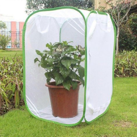 Cage à papillons pliable avec fenêtre d'observation transparente et maille respirante, adaptée à l'élevage d'insectes. (1/4)