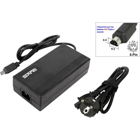 PowerSmart Chargeur Alimentation 2A pour batteries Phylion/Joycube, connecteur trapézoïdal 5 broches 48V (1/5)