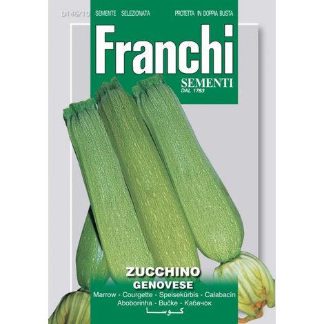 BUSTINA SEMI DI ZUCCHINO GENOVESE (1/2)
