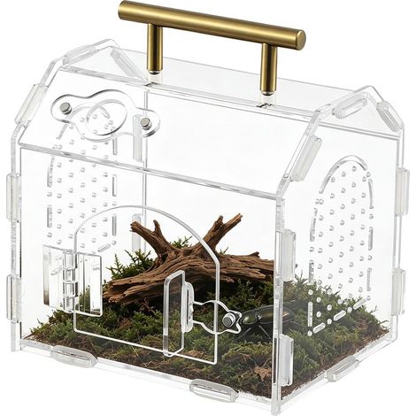 Petit Enclos pour Araignée Terrarium Transparent Pour Reptiles Avec Poignée Enclos Ventilé Pour Reptile Pour Araignée Mante Mygale Grenouille Gecko Scorpion Mante Maison Salon Bureau (1/5)