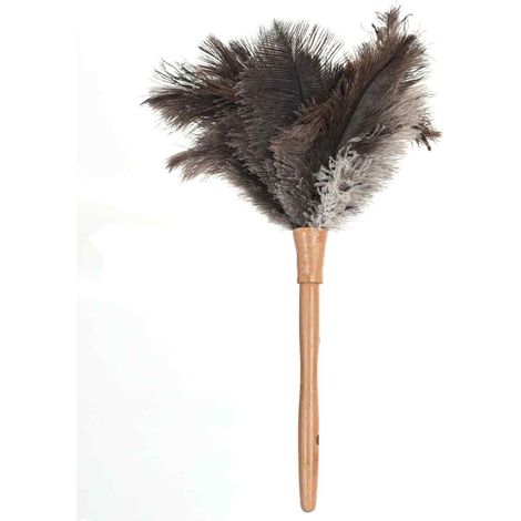 Plumeau En Plumes D Autruche - Manche En Bois Blanc - 40 Cm - Pour Nettoyage Délicat De Surfaces Fragiles - 1 Pièce (1/5)