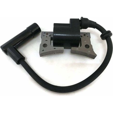 Bobine d'allumage pour moteur de tondeuse à gazon Robin EX13 EX17 EX21 277-79431-01 (1/4)