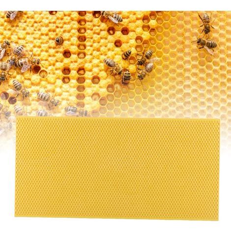 Cadre apicole en plastique avec cire gaufrée (jaune)