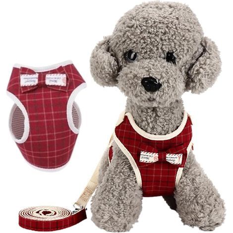 Ensemble de laisses anti-traction pour petits chiens, pour chats et petits chiens de 6 à 10 kg, avec laisse de 120 cm et sangle réglable, rouge, taille M (1/5)