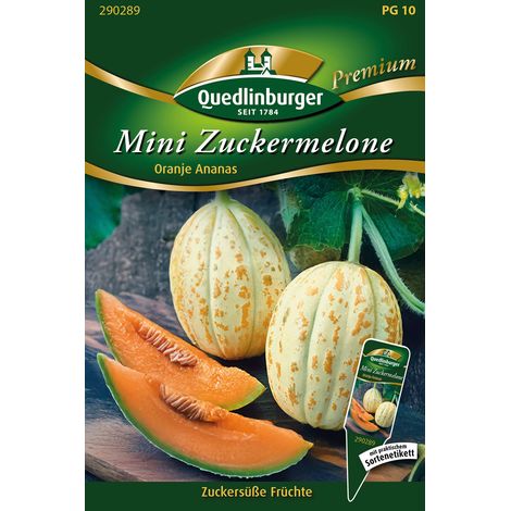 Quedlinburger Mini Zuckermelone Oranje Ananas - Premium Gemüsesamen (1/2)