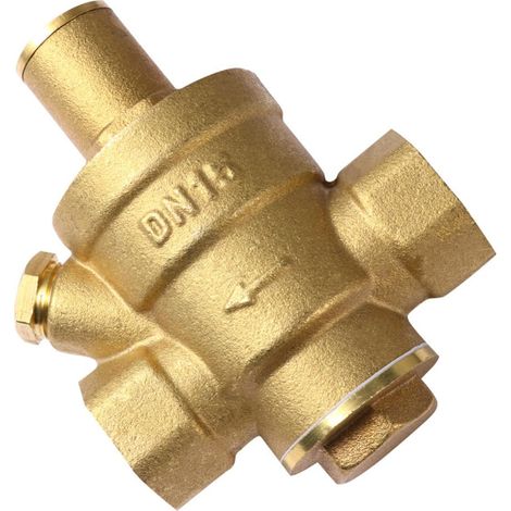 Régulateur de Pression D eau Soupape de Régulation pour Robinet Protège Filtre et Tuyau Dn15 Pn1 virgule 6 en Laiton pour (1/5)