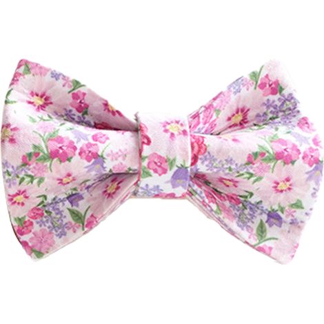 Collier Pour Chien Réglable En Tissu Floral - Pour Chiens De Taille Moyenne - Largeur 3/4 Pouces - Longueur 13.5 À 21.5 Pouces (1/5)
