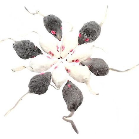 12 jouets pour chats (1/3)