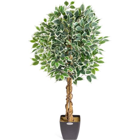 Artificial Variegated Ficus Tree - 120cm