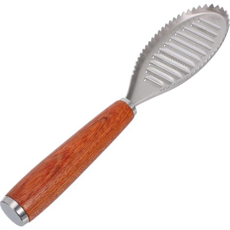 Set mit 2 Fischschuppern, gezahnte Edelstahlbürsten, zum Reinigen der Fischhaut und Schälen von Meeresfrüchten. Geeignet für Küchenutensilien und Fischverarbeitung.