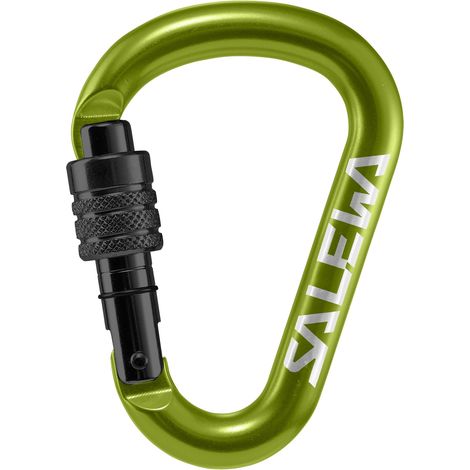 Mousqueton unisexe Salewa HMS Screw G2 vert 00-00000015255810