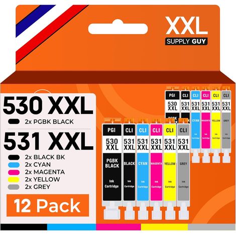 530 531 XXL Cartouches pour PIXMA TS8750 TS8751 remplace Canon PGI-530 CLI-531 (12 Cartouches) (1/5)