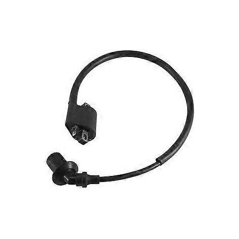 Zündspule mit Kabel und Zündkerzenstecker 0180-152000 für CF188 CF500 X5 ATV 500cc 188 500
