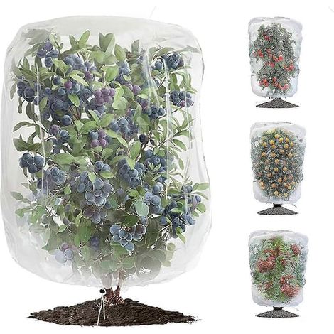 Filets de protection pour jardin (lot de 4) pour myrtilles, tomates et arbres fruitiers (1/5)