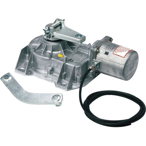 CAME 001FROG-A FROG-A Motore Attuatore Interrato 230v Per Cancello Anta Battente