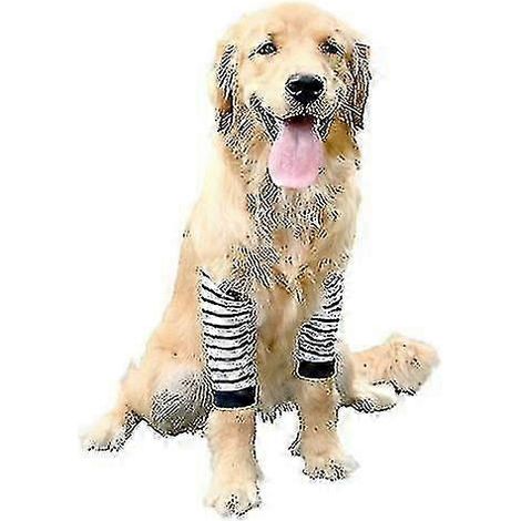 Coudières et genouillères pour chiens moyens et grands, protection des articulations, articles anti-abrasion pour animaux de compagnie REDXL (1/2)