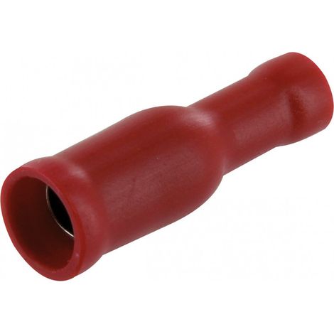 Scheda cilindrica rossa femmina 4 10