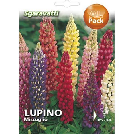 Semi per Prato Universale Lupino Perenne Miscuglio Sgaravatti 20 Pezzi