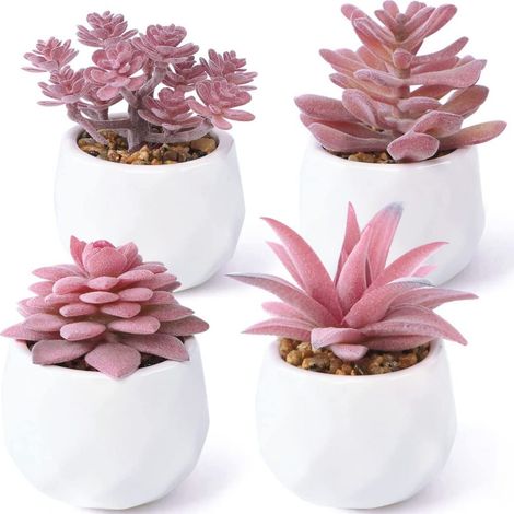 Succulente Artificielle - Pot Céramique - Décoration Intérieure Extérieure - Lot de 4 (1/5)