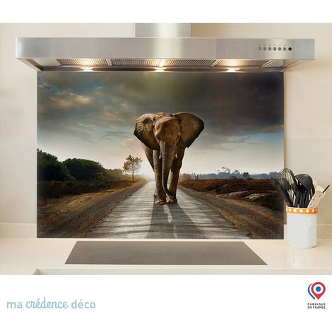 Fond de hotte : Eléphant - Alu composite - 70 cm - 60 cm (1/5)