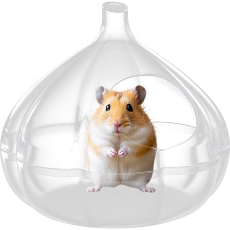 Vaschetta di sabbia per criceti, vaschetta trasparente all'aglio, habitat per piccoli animali, 13,9 13,9 12,8 cm, animali domestici, divertimento ed esplorazione, per il bagno, il gioco e il nascond