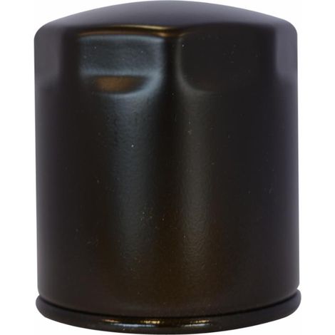 Filtro olio adattabile al riferimento originale Lombrardini 2175,131