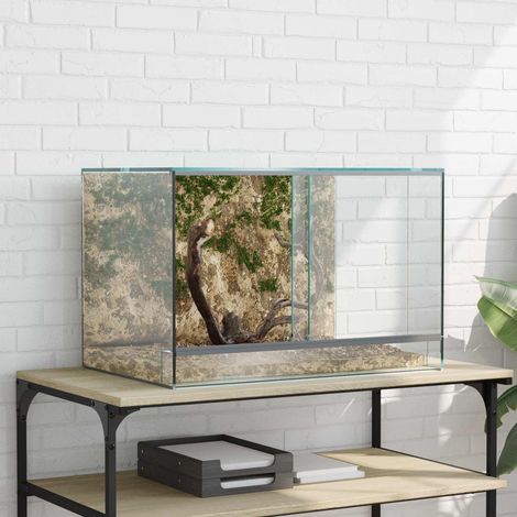 Terrarium mit Speicher Transparent 60 x 40 x 40 cm Glas