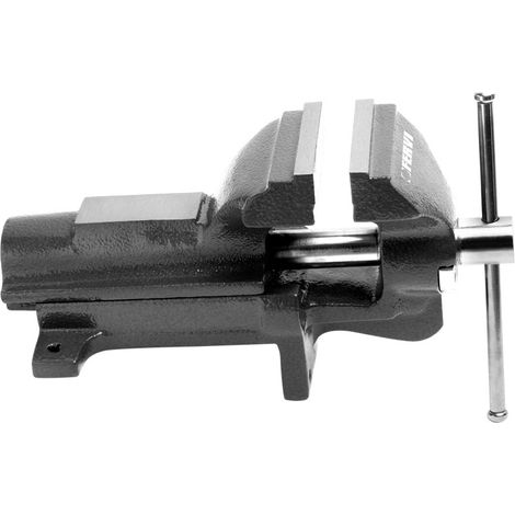 Fervi 0427/100 Morsa parallela da banco sferoidale 100 mm (1/2)