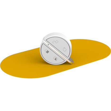 SOMFY 2401489 - Badge d'activation et de désactivation alarme - Fonction mains libres