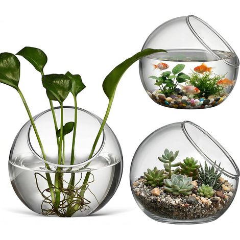 Lot de 3 pots de terrarium en verre transparent pour terrarium de bureau - Vase à bulles en verre transparent - Vase oblique - Ornements transparents - Poisson rouge - Fleurs - Bougeoir - Succulentes (1/5)
