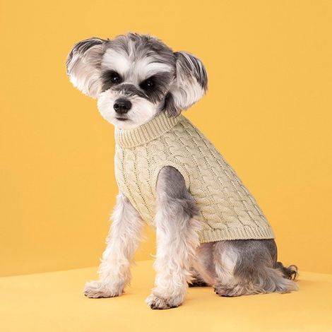 Maglione per cani, morbido maglione a collo alto per cuccioli, scaldacorpo per cani, cappotto per cani, cardigan invernale per cani, maglieria, abbigliamento invernale per cani Unifar (1/5)