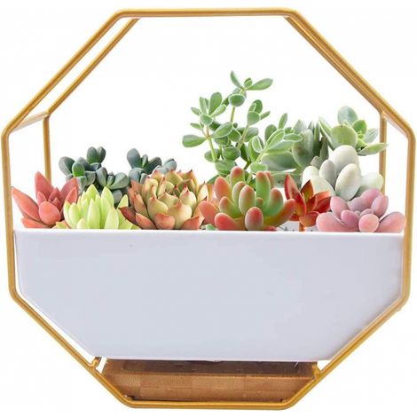 BEBUSINGOTO Jardinière murale moderne en fil métallique, vase mural en verre transparent (1/5)