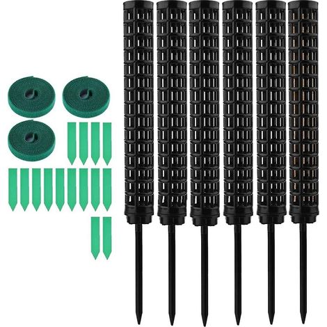 Tuteur pour Monstera, bâtonnet en mousse, lot de 6 tuteurs pour plantes d'intérieur, support en noix de coco, tuteur pour plantes grimpantes, poteau en mousse, aide à l'escalade (1/5)