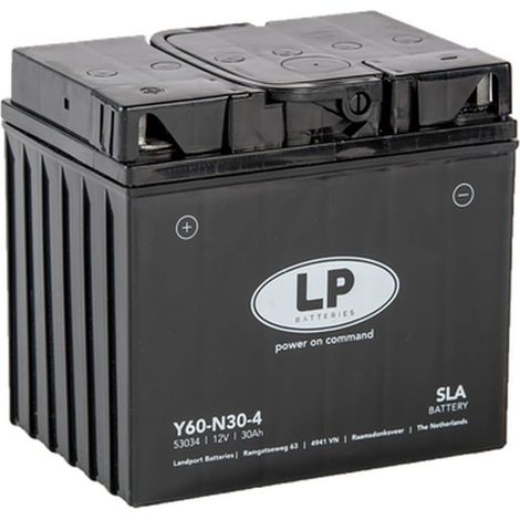 BATERÍA LANDPORT Y60-N30-4 (MS L60-N30-4) 12V 30AH (179X125X166MM) (300A) SLA SIN MANTENIMIENTO - INUNDADA (2)