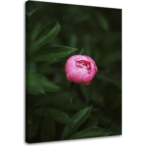 Tableau sur toile Bouton de fleur rose Nature 40x60 (1/5)