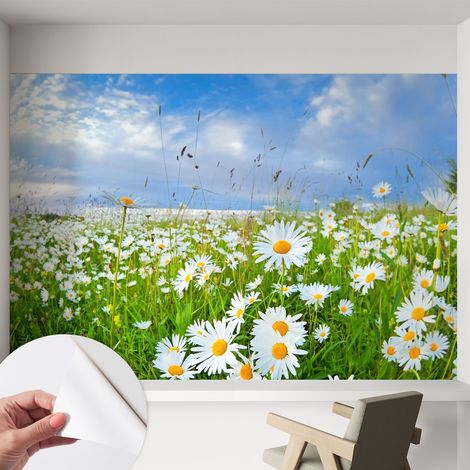 Fotomurale adesivo - Carta da parati adesiva - per la cucina camera da letto per la soggiorno - Prato estivo 152x104 cm (1/5)